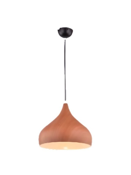 copy of Indoor-069 hanging light