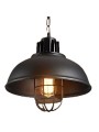 copy of Indoor-063 hanging light