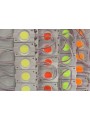 koopia LED 2.4W red CW COB moodul 20 tk-st